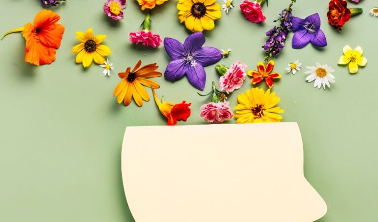 Behavioral Health vs. Mental Health: Key Differences & Connections