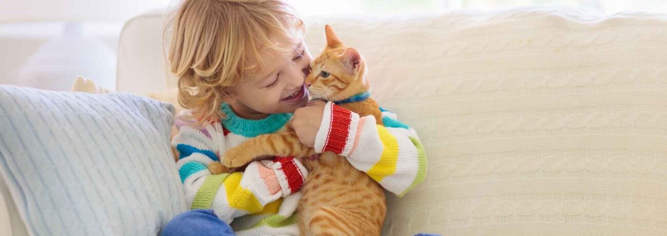 aba continuity of care aba continuity of care