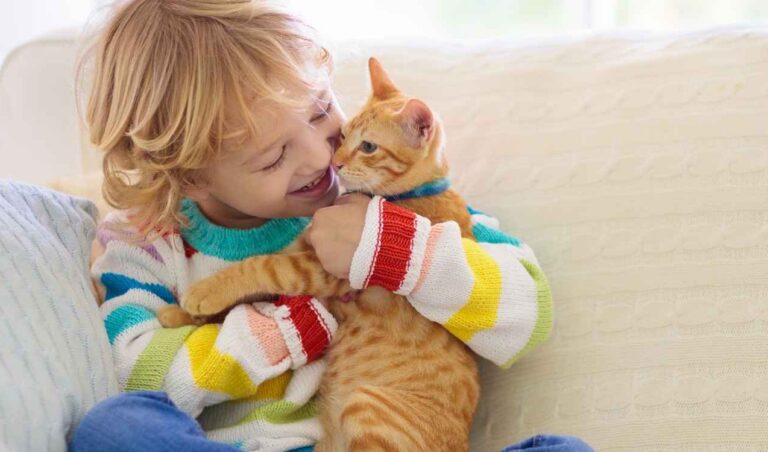 aba continuity of care aba continuity of care