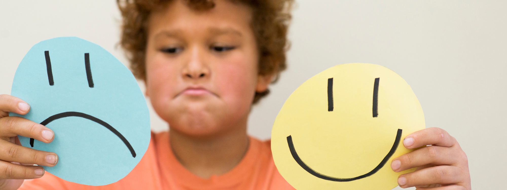 autism emotional regulation