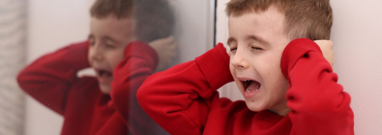 behavior challenges of autism behavior challenges of autism