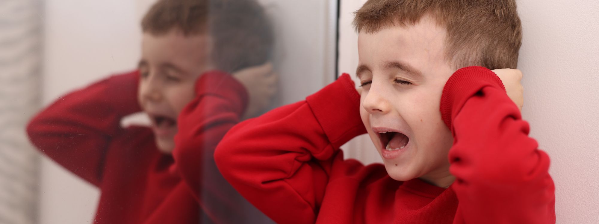 behavior challenges of autism